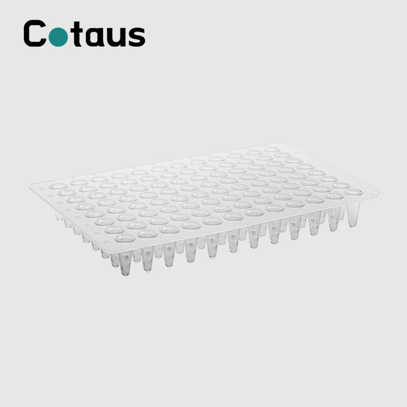 96 நன்றாக 0.1ml வெளிப்படையான இல்லை ஸ்கர்ட் PCR தட்டு