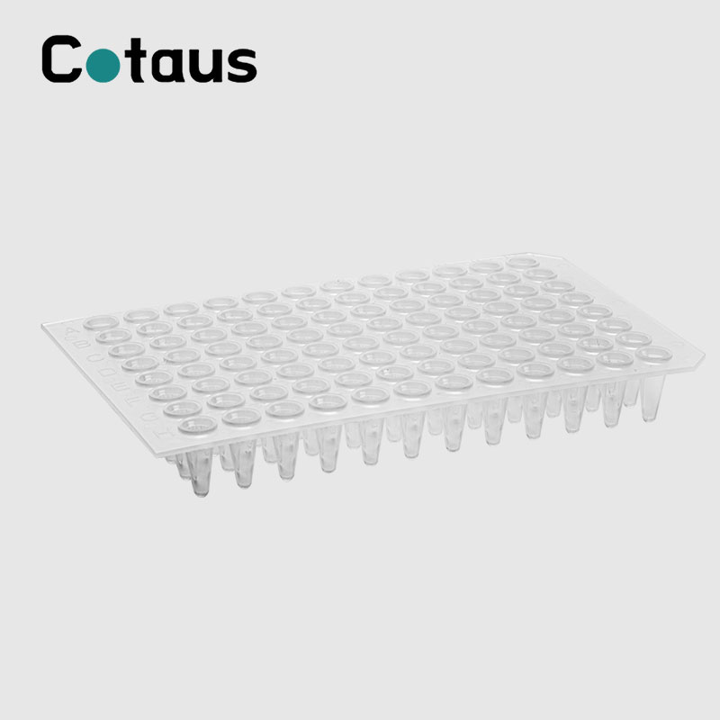 96 நன்றாக 0.2ml வெளிப்படையான இல்லை ஸ்கர்ட் PCR தட்டு